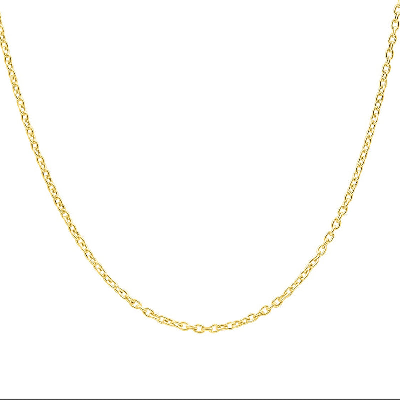 A delicate yellow gold chain necklace with small, tightly linked oval rings, displayed in a U-shape against a solid white background.